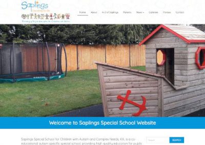 Saplings Special School – special school for children with autism and complex needs in Kill, Co. Kildare