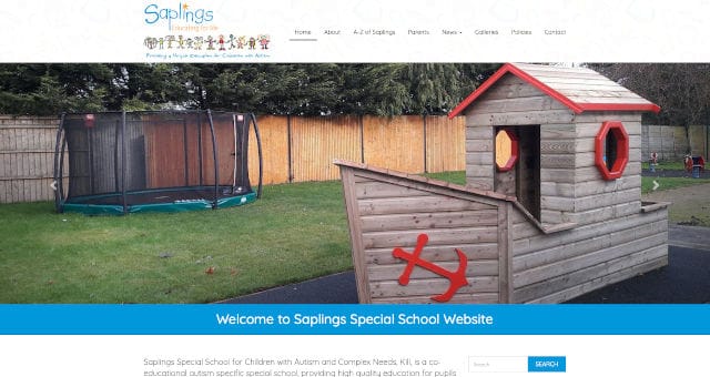 Saplings Special School – special school for children with autism and complex needs in Kill, Co. Kildare